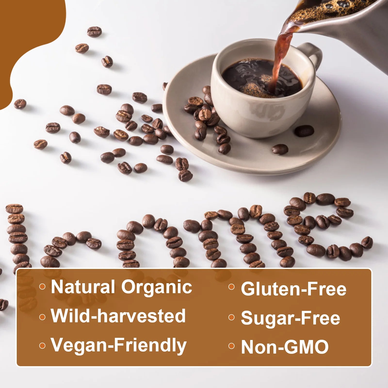 Mushroom Coffee Blend Powder (120g)