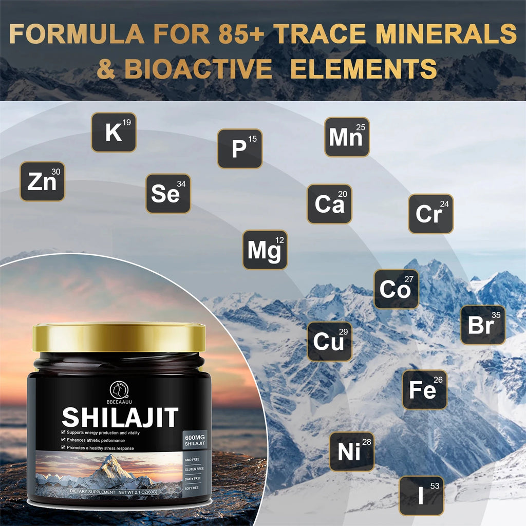 Pure Himalayan Shilajit Resin Mineral Supplement (60g)