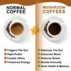 Mushroom Coffee Blend Powder (120g)