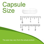 Lion's Mane Mushroom & Cordyceps Capsules