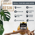 Pure Himalayan Shilajit Resin Mineral Supplement (60g)